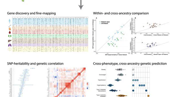 Decoding Complex Traits Genetics from Biobanks