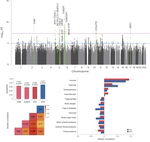 Broadened Genetic Insights on Education