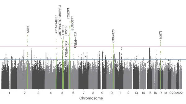 Broadened Genetic Insights on Education