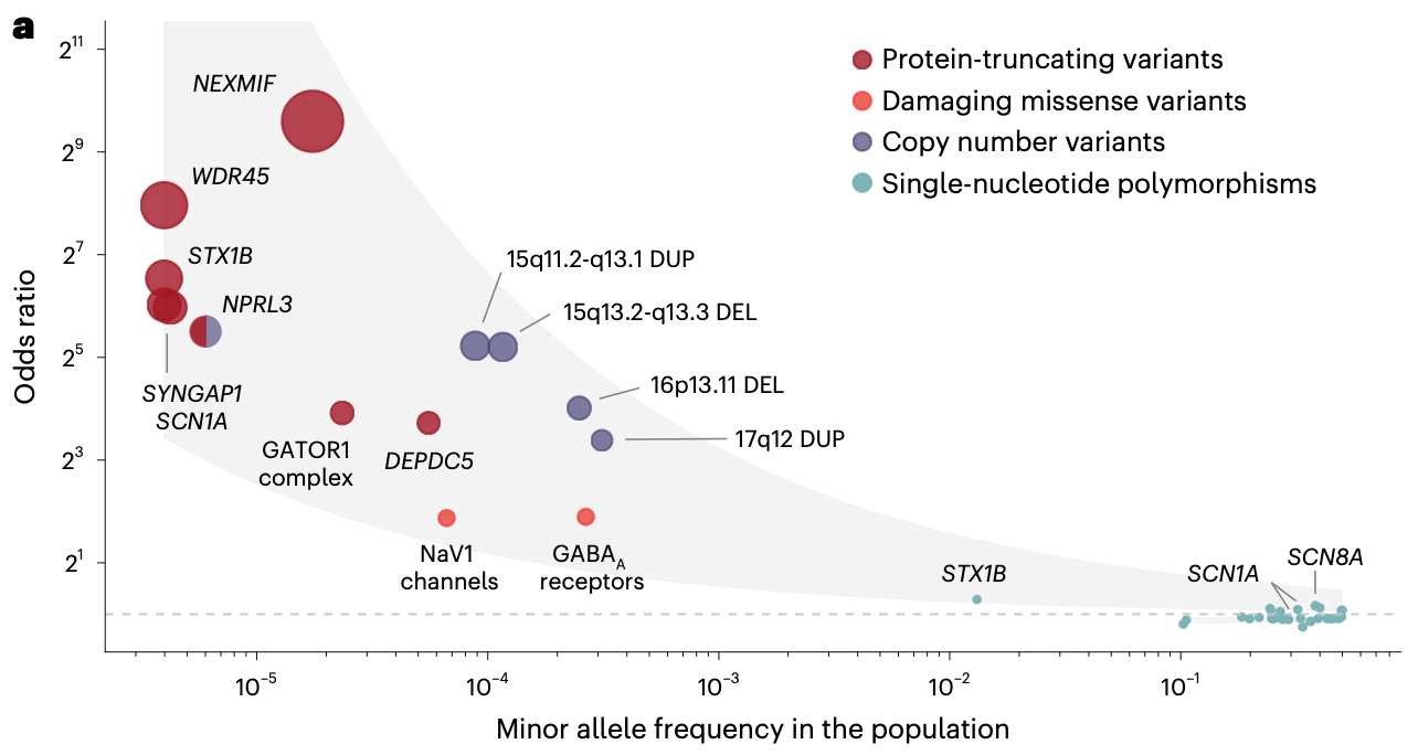 Genetic Landscape of Epilepsy from Large Exome Study