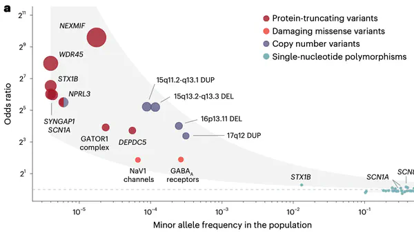 Genetic Landscape of Epilepsy from Large Exome Study