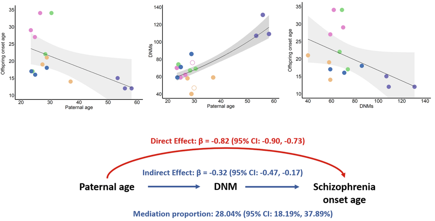 Delayed Fatherhood, DNMs, and Schizophrenia Onset