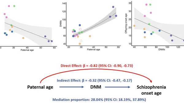 Delayed Fatherhood, DNMs, and Schizophrenia Onset