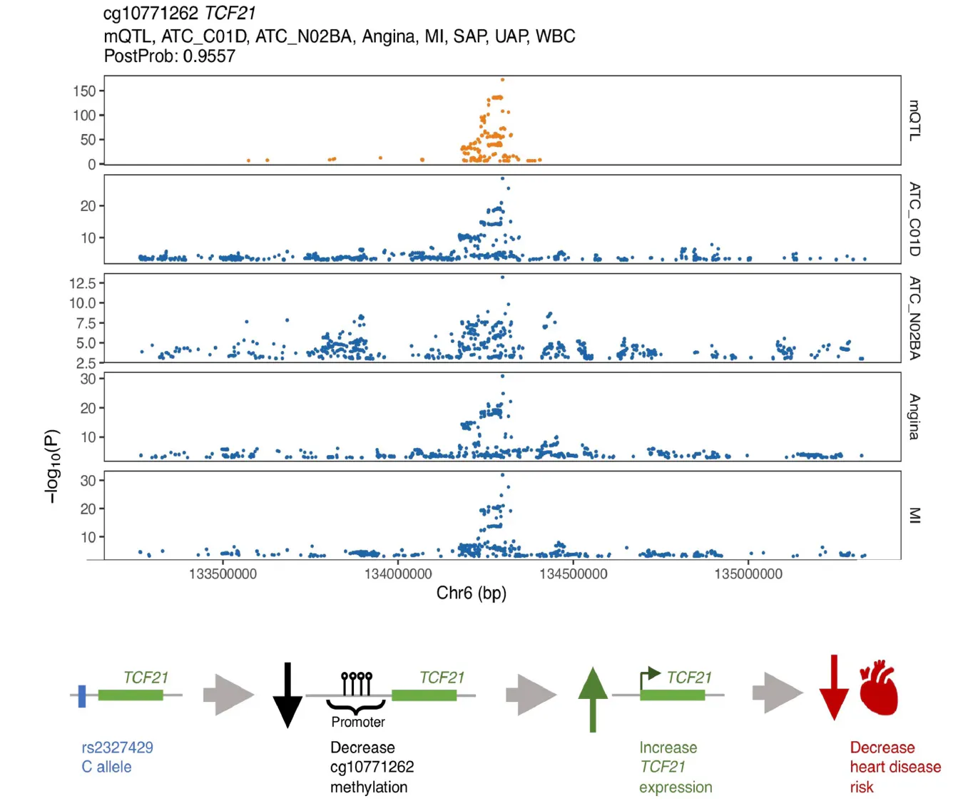Mapping the Genetic Architecture of Methylation